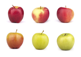 a set of six varieties of apples isolated on white  background