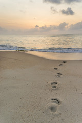 Footprints in the sand