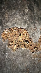 Old cracked wall at sukhothai historical park, Thailand