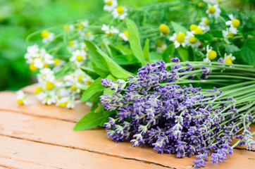 Naklejka premium lavender and chamomile