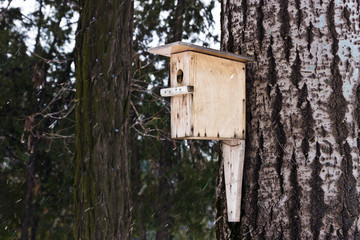 Nesting box on the tree during the winter