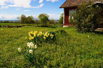 Beautiful country garden © Lars Johansson