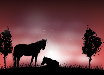 Romantic horse silhouette
