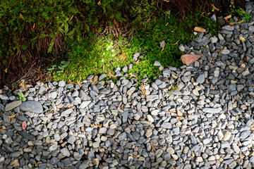 LIght and shadow on pebble and moss