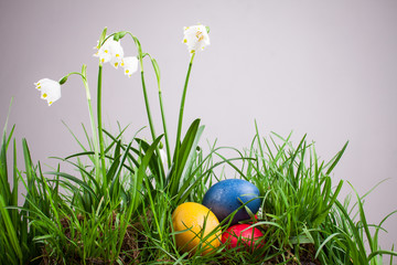 spring snowflake in the grass and Easter eggs