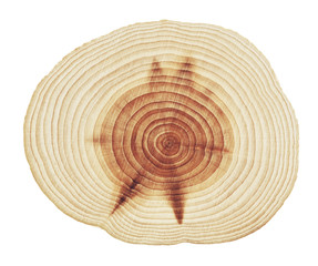 Wood stump rings