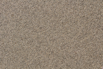 White sand beach wetland.