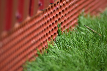 Cutting from the grid at  bottom of fence