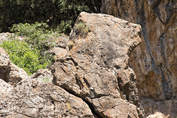 background of stone cliff in the mountains