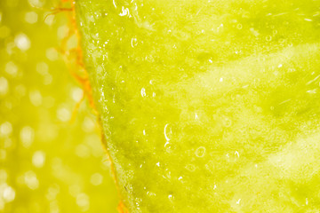 juicy kiwi as background. macro