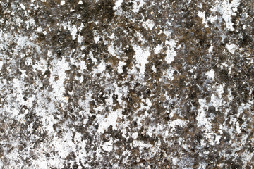 white concrete wall texture