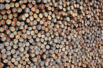 stack of log wood background.
