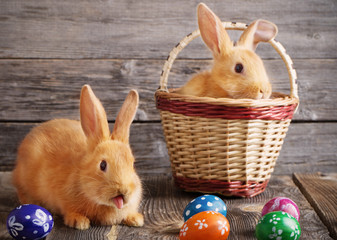 rabbits with Easter eggs on wooden background