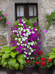 Macetas con flores y plantas junto a casa de piedra