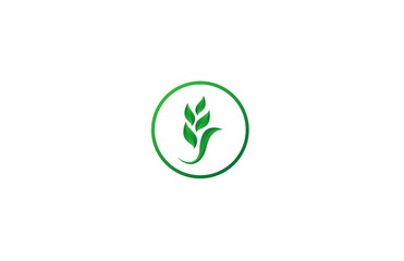 eco leaf nature logo