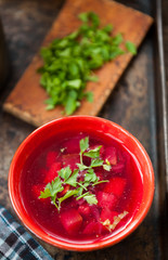 Traditional Romanian sour vegetable soup - borsch