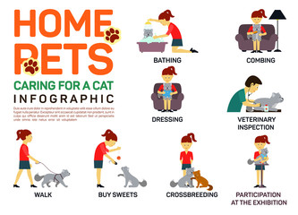 Vector flat illustration infographic of caring about pets cat. Bathing, washing, dressing, combing, veterinary inspection, going a walk, crossbreeding, buying food,  participation in an exhibition