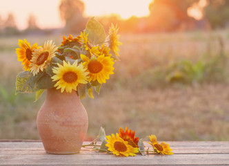 sunflowers in jug at sunset
