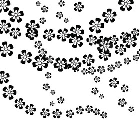 Flower composition pattern background in black and white. Vector