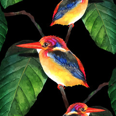 Watercolor hand-drawn kingfisher vector seamless background 