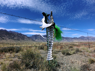 Animal spine hanging on wire fence in barren desert - landscape photo