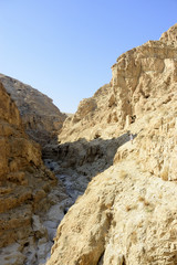 Fototapeta na wymiar Hiking in Judea desert mountains.