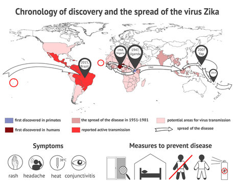 Infographics virus Zika