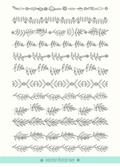 Floral hand drawn borders collection. Flowers, leaves, frames, decorative elements for your design. Vector set