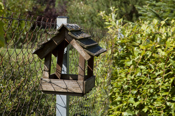 crumbling bird feeder hanging from a rusty fence