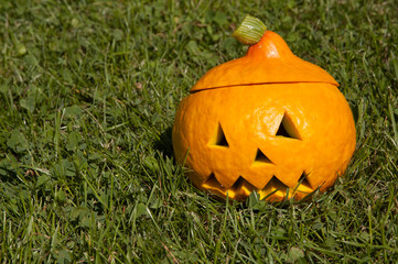 Obraz premium halloween pumpkin on the grass