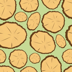 Cut of a tree, visible annual rings.