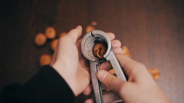 walnut in nut cracker 