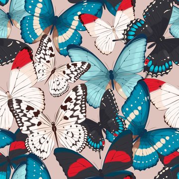 Colorful butterflies seamless
