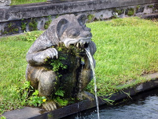 tierischer Wasserspeier aus Stein