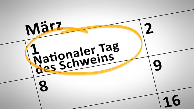 National Day of the Pig first of March in german language