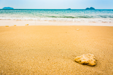 stone on the sand, selective focus . Focus area are the stone