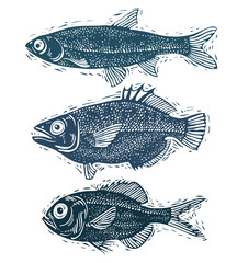 Set of vector fishes, different underwater species. Organic seaf