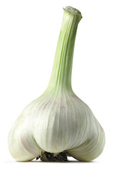 Garlic isolated on white background