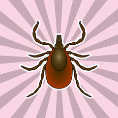 Insect anatomy. Sticker Tick parasite. Sketch of Tick. Mite.  Tick Design for coloring book. hand-drawn Tick. Vector