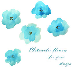 Set of beautiful watercolor flowers on white background