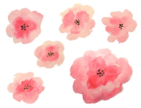 Set of beautiful watercolor flowers on white background