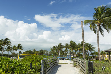 beach volleyball net on a sunny beach, with palm trees