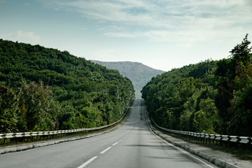 Fototapeta na wymiar Mountains tree road in Crimea. Nature landscape