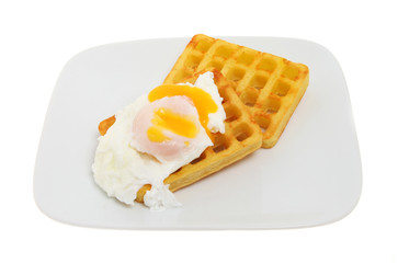 Poached egg and potato waffles