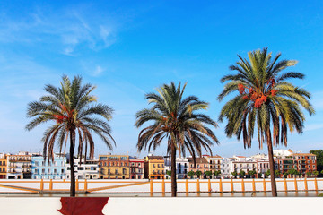 Obraz premium Sevilla city in the morning