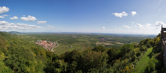 Rheingraben bei Eschbach im Sommer 2015