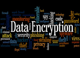 Data Encryption, word cloud concept 6