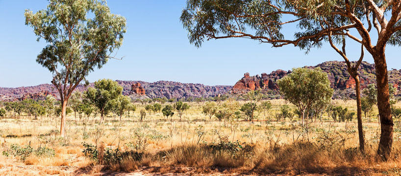 Distant View Of Bungle Bungles