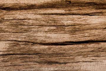 closeup of wood texture