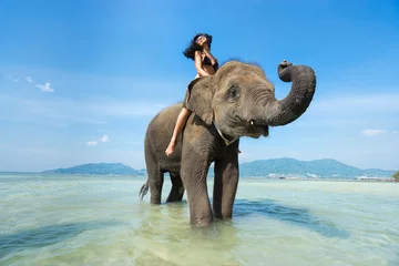 Fotobehang Young happy woman on elephant in the sea. Tropical vacation © upslim